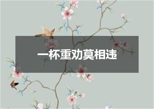一杯重劝莫相违
