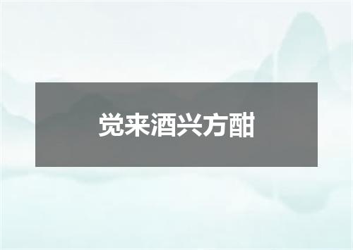 觉来酒兴方酣