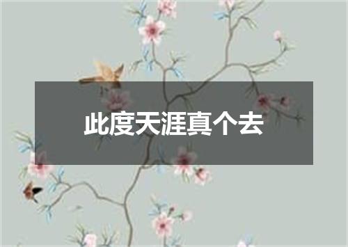 此度天涯真个去