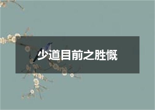 少道目前之胜慨