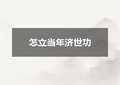 怎立当年济世功