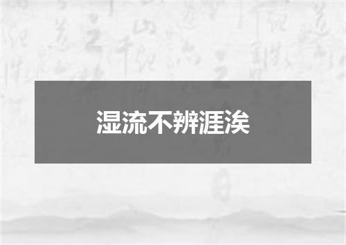 湿流不辨涯涘