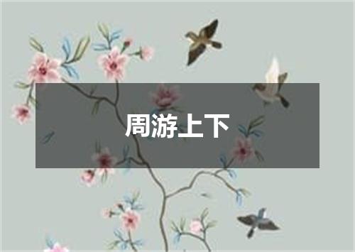 周游上下