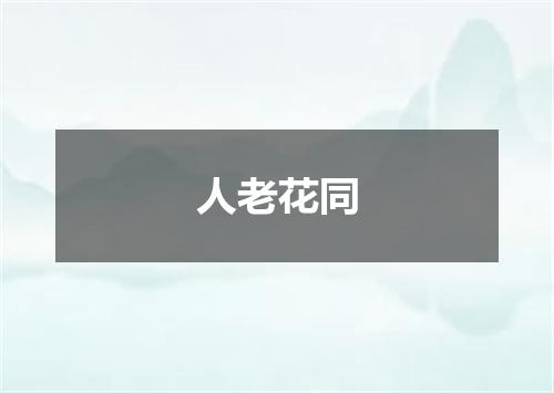 人老花同