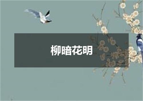 柳暗花明
