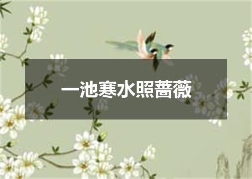 一池寒水照蔷薇