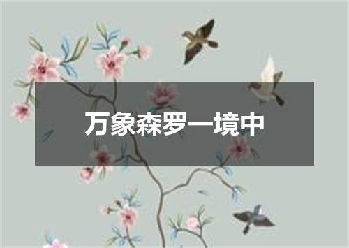 万象森罗一境中