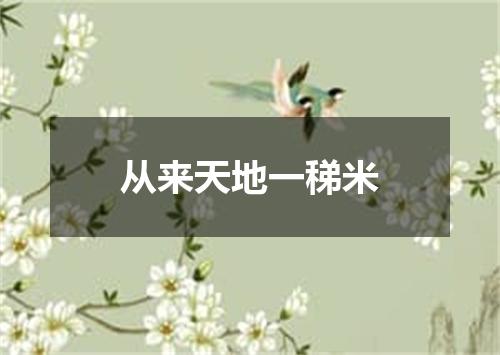 从来天地一稊米