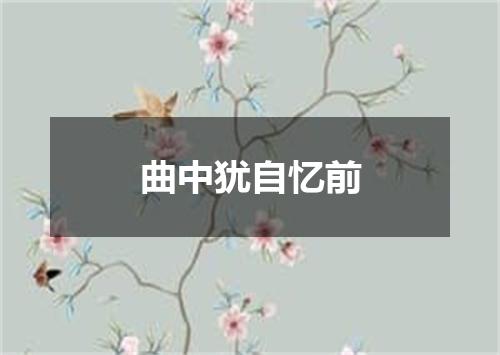 曲中犹自忆前
