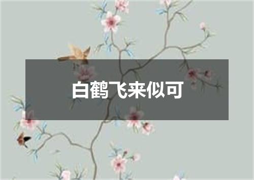 白鹤飞来似可