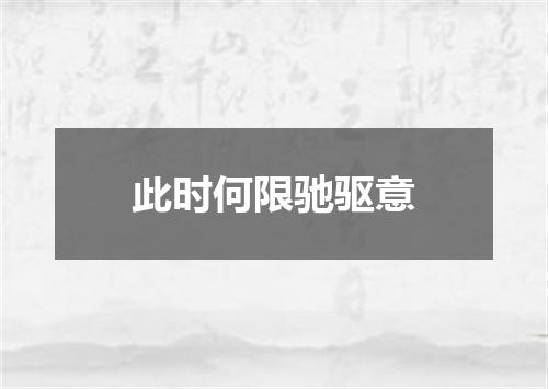 此时何限驰驱意