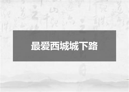 最爱西城城下路