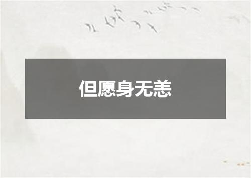 但愿身无恙