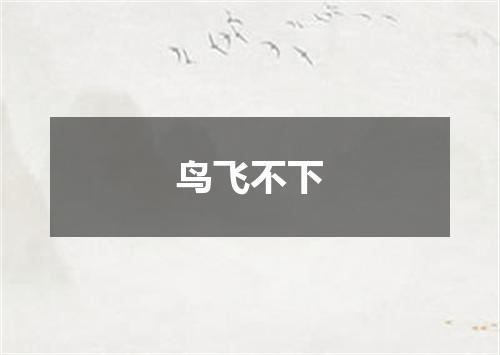 鸟飞不下
