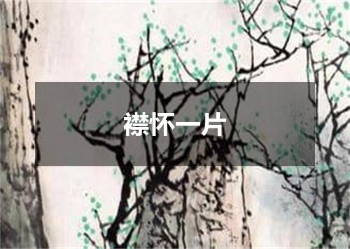 襟怀一片