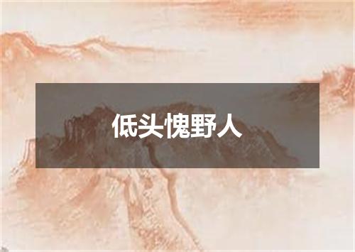 低头愧野人