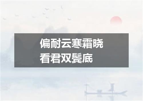 偏耐云寒霜晓看君双鬓底