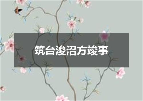 筑台浚沼方竣事