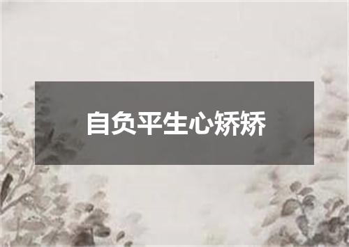 自负平生心矫矫