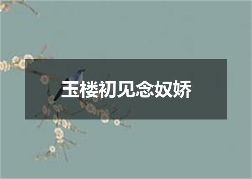玉楼初见念奴娇