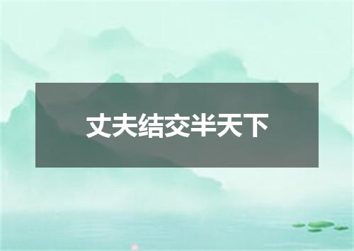 丈夫结交半天下