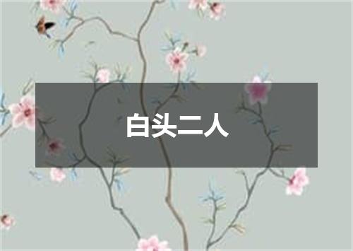 白头二人