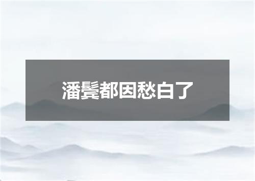潘鬓都因愁白了