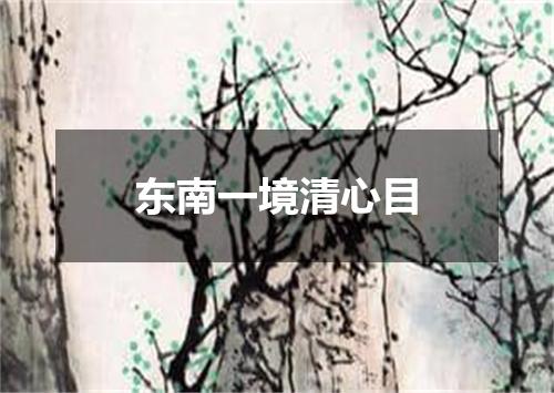 东南一境清心目