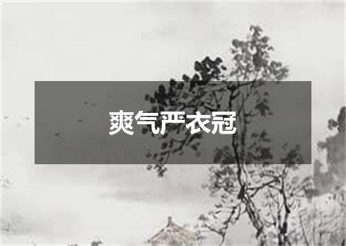爽气严衣冠