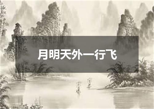 月明天外一行飞