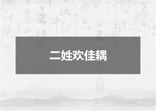 二姓欢佳耦