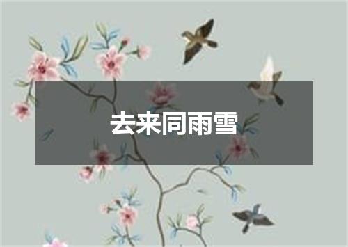 去来同雨雪