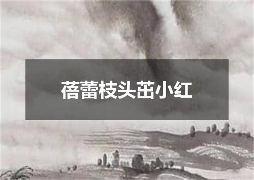 蓓蕾枝头茁小红