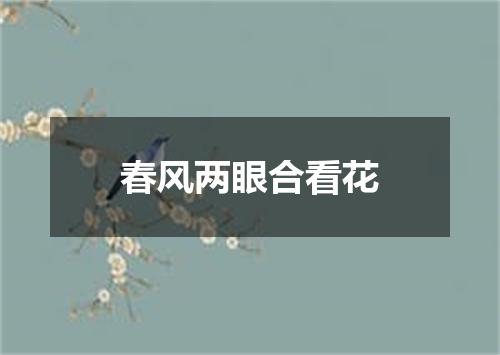 春风两眼合看花