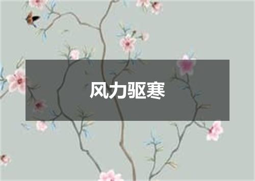 风力驱寒