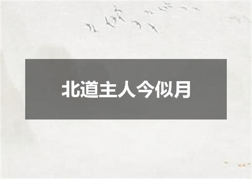北道主人今似月