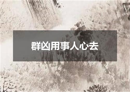 群凶用事人心去