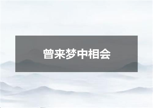 曾来梦中相会