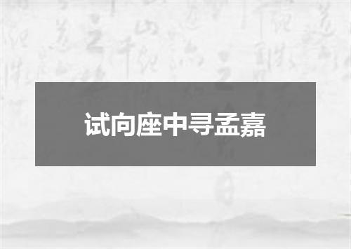 试向座中寻孟嘉
