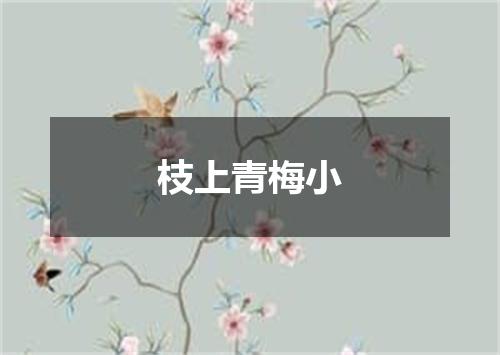 枝上青梅小