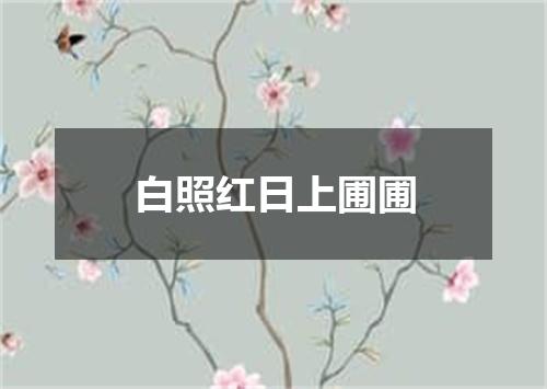 白照红日上圃圃