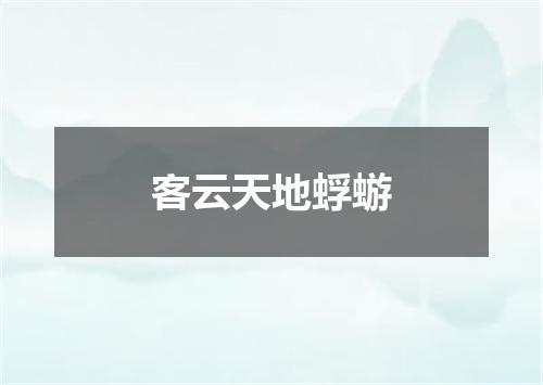 客云天地蜉蝣