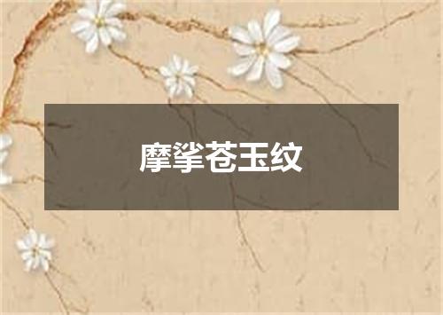 摩挲苍玉纹