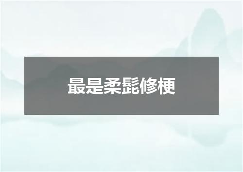 最是柔髭修梗