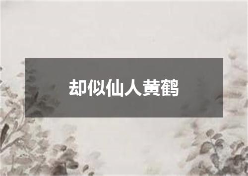 却似仙人黄鹤