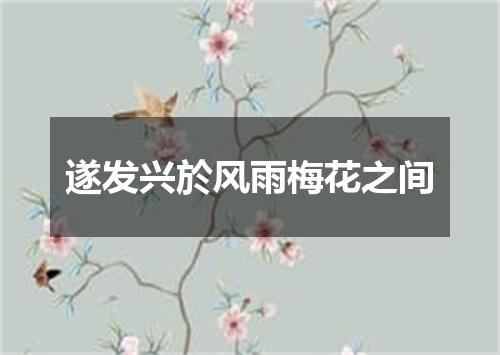 遂发兴於风雨梅花之间