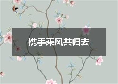 携手乘风共归去