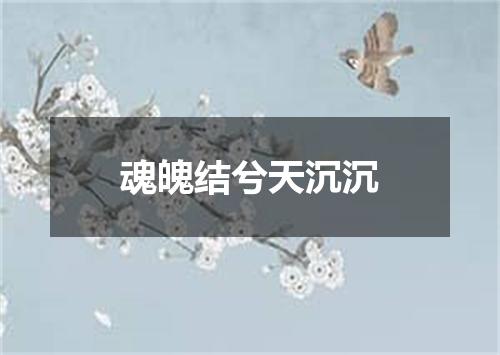 魂魄结兮天沉沉