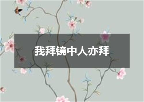 我拜镜中人亦拜