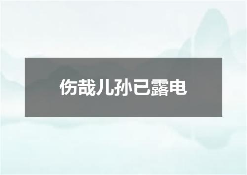伤哉儿孙已露电